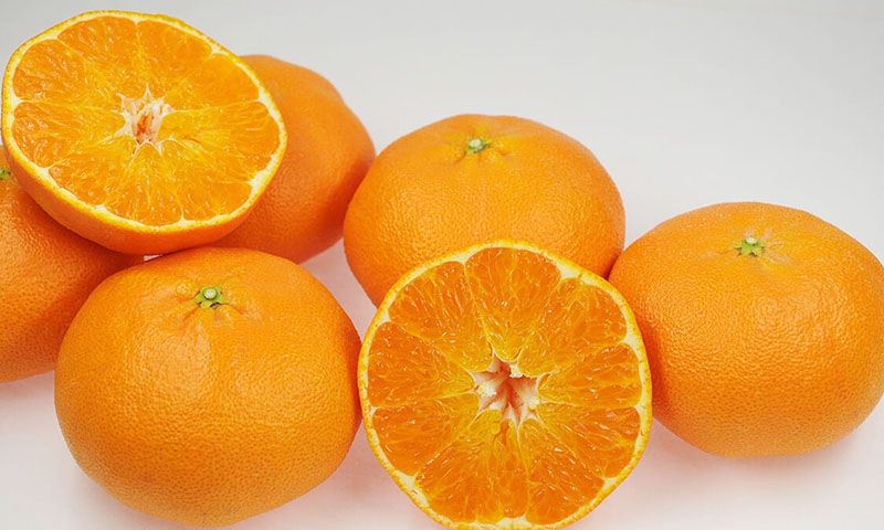 cam-tinh-ehime cam-tinh-ehime